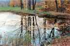 Autumn Pond